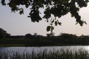 5-3-11GolfCourse 015