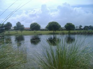 walk 7-27-12 & Improv 038