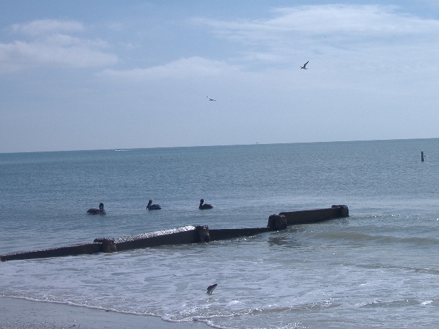 11-14-12 Madeira Beach 063