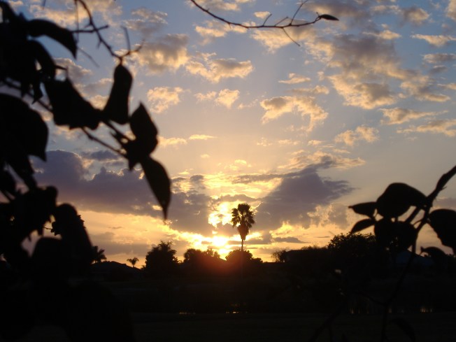 12-1-12 Walka-Alligator lights! 019