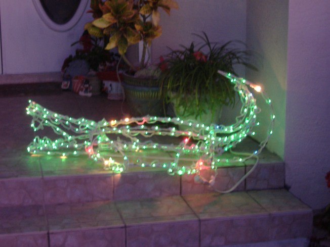 12-1-12 Walka-Alligator lights! 042