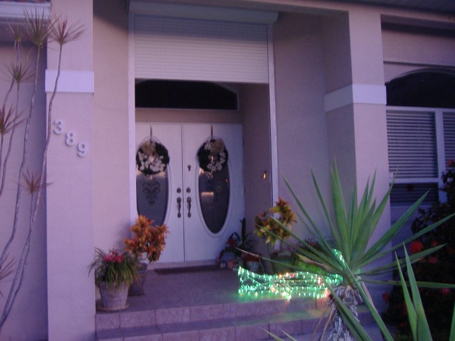 12-1-12 Walka-Alligator lights! 045