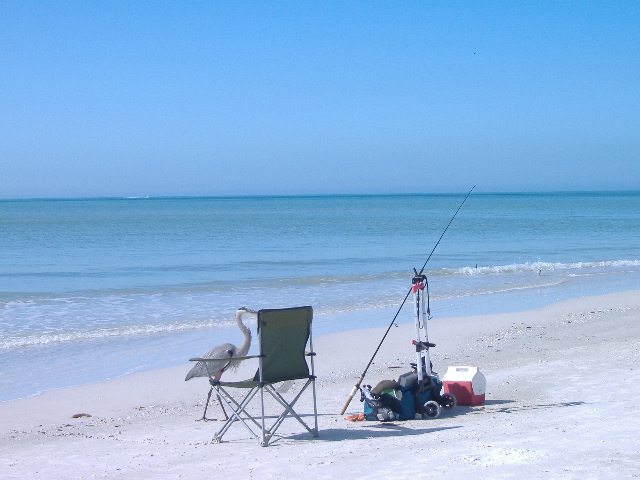 Lido Key 12-12-11 014