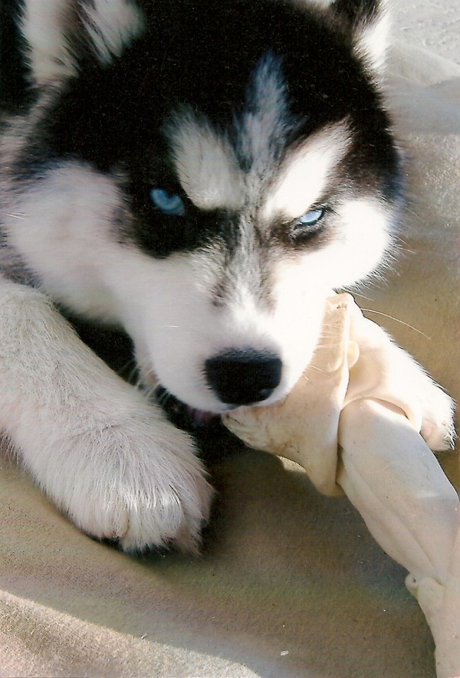 Dad & Onyx sharing a Ritz '070001