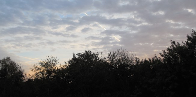 1-23-2013 Outreach 021