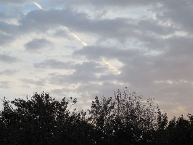 1-23-2013 Outreach 022