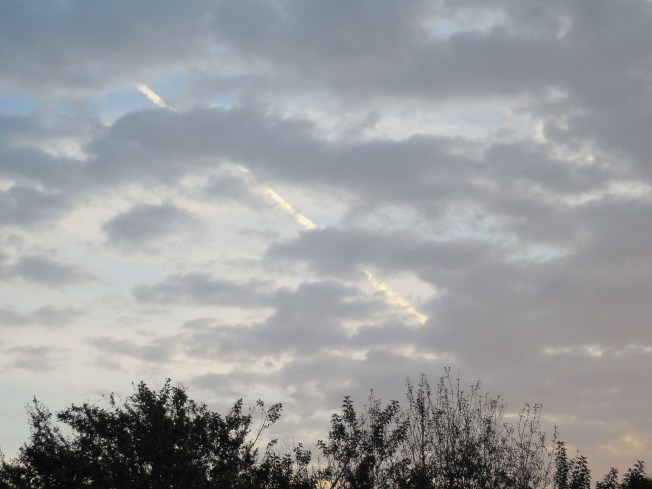 1-23-2013 Outreach 023