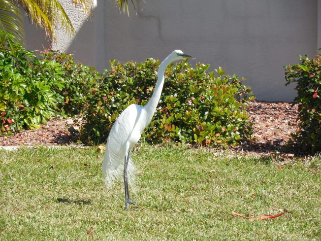 2-14-13 Valentine's Day 023