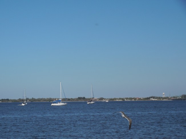 2-19 to 2-10-13 Gilchrist & First Baptist Outreach 059