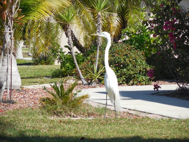 2-19 to 2-10-13 Gilchrist & First Baptist Outreach 080