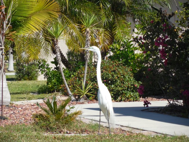 2-19 to 2-10-13 Gilchrist & First Baptist Outreach 081