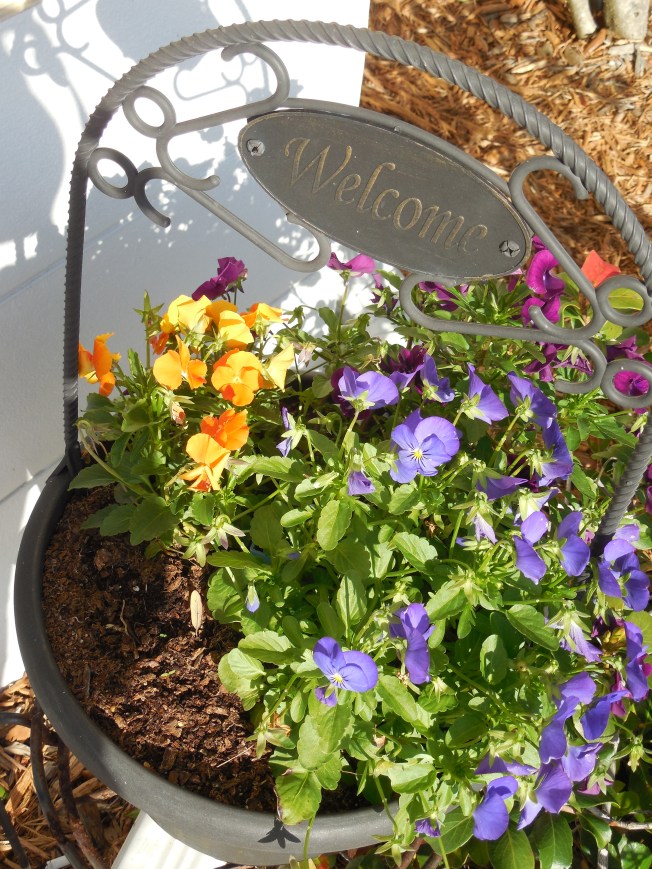 3-1-13 Class Trip 017