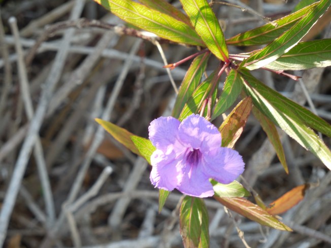 3-1-13 Class Trip 030