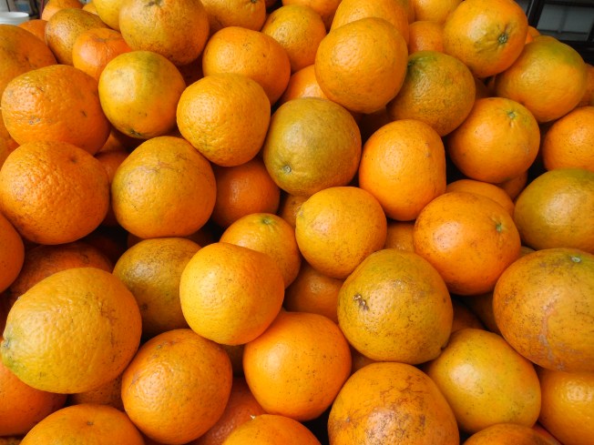 3-1-13 Class Trip 153