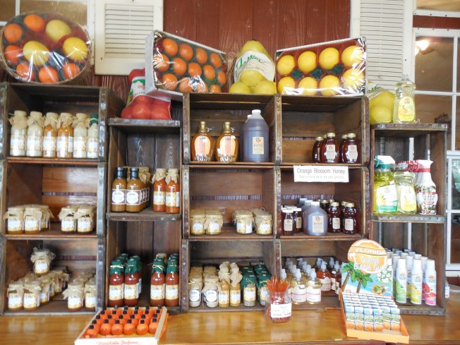 3-1-13 Class Trip 160