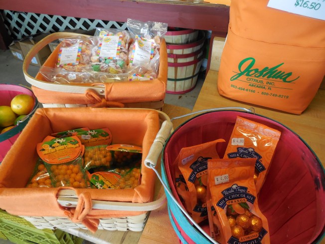 3-1-13 Class Trip 161