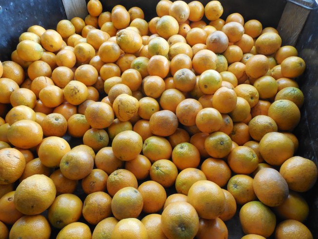 3-1-13 Class Trip 162