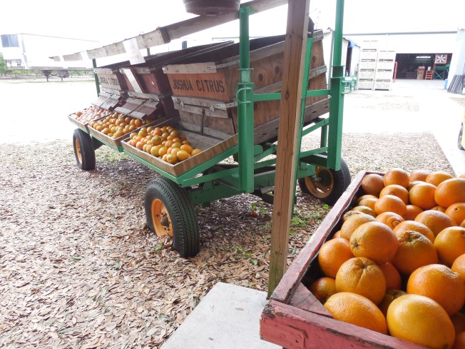 3-1-13 Class Trip 163