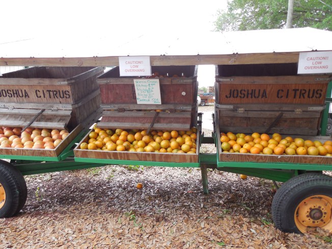 3-1-13 Class Trip 164