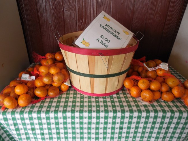 3-1-13 Class Trip 165