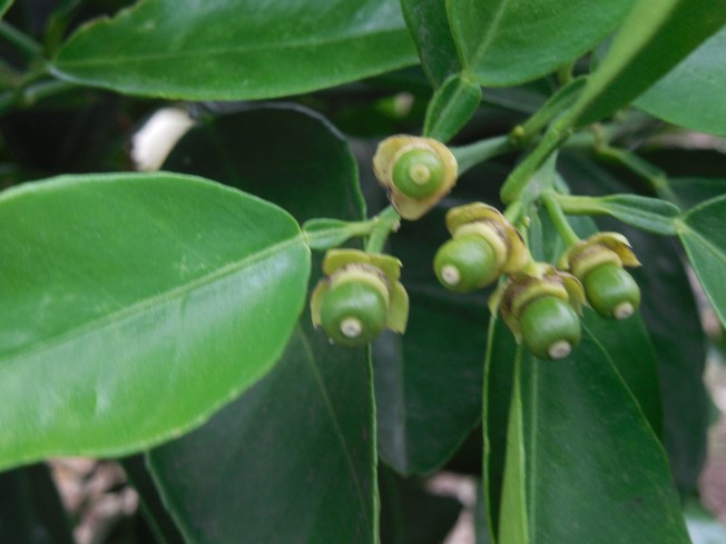 3-1-13 Class Trip 172