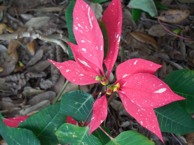 3-1-13 Class Trip 206