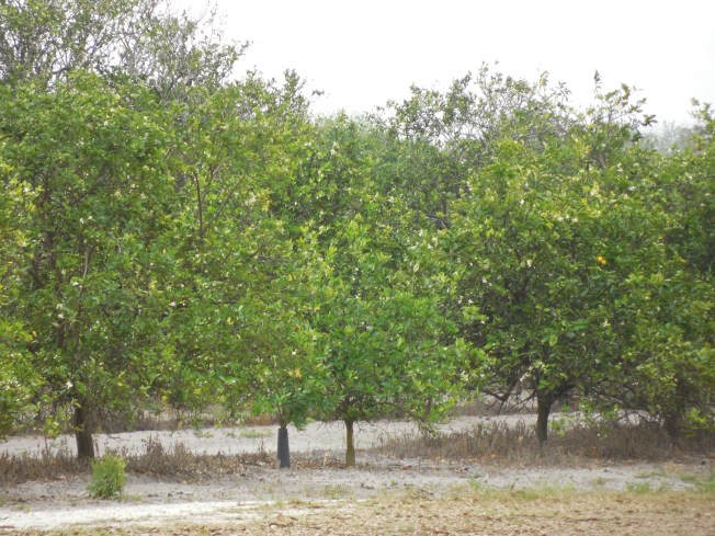 3-1-13 Class Trip 211