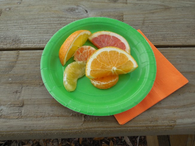 3-1-13 Class Trip 212