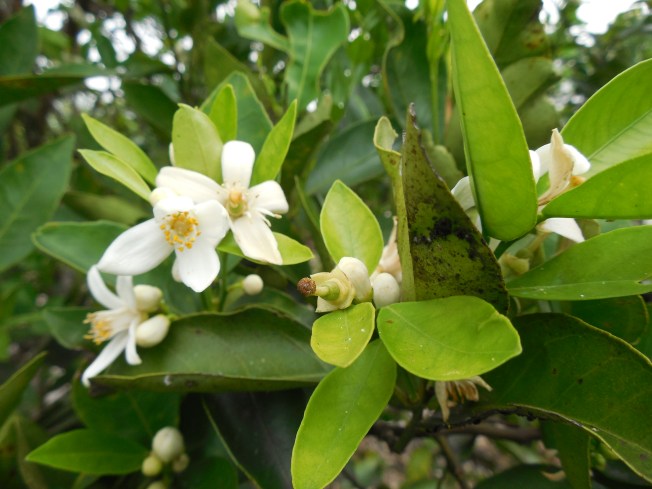 3-1-13 Class Trip 230