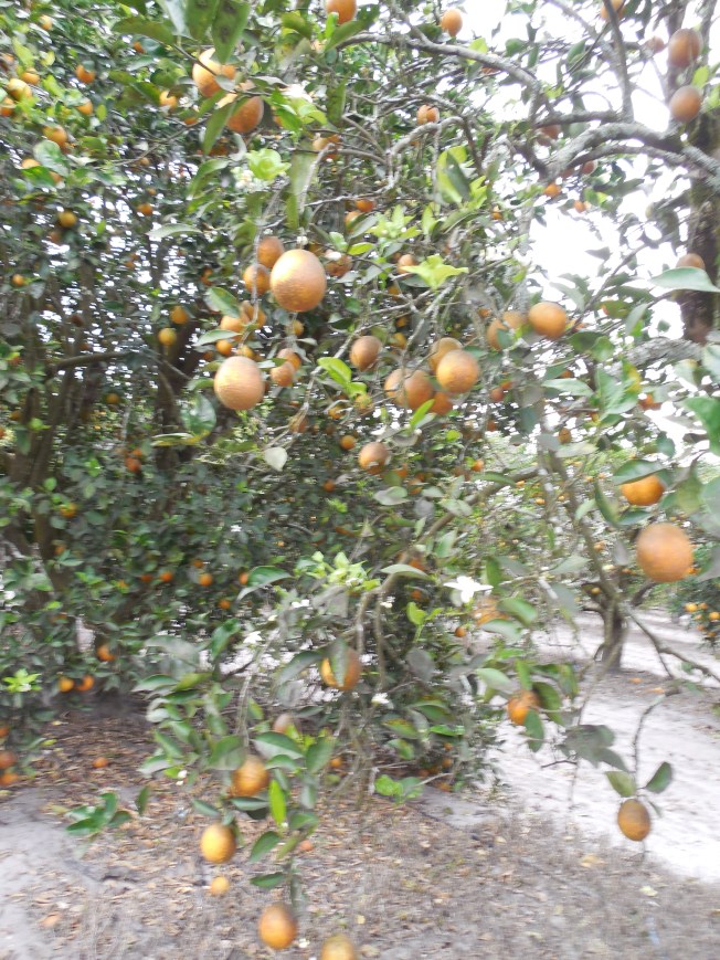 3-1-13 Class Trip 238