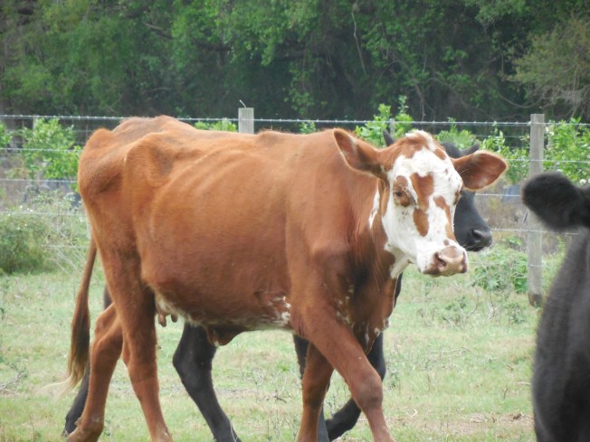 3-1-13 Class Trip 280