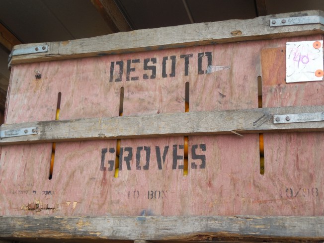 3-1-13 Class Trip 317