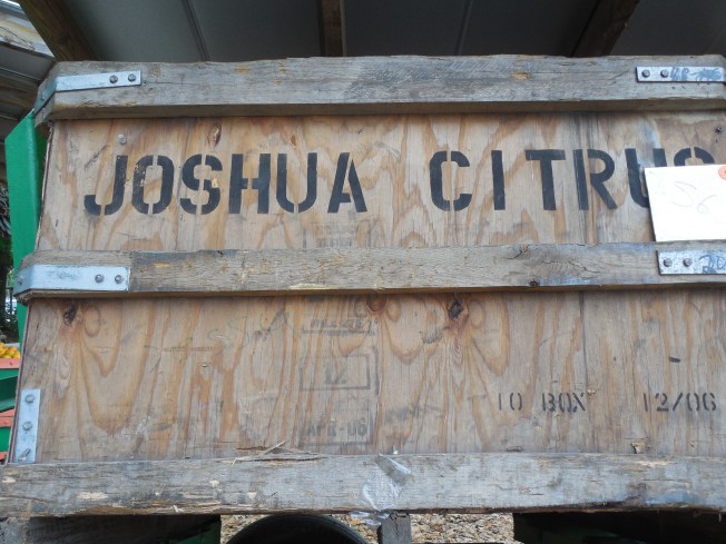 3-1-13 Class Trip 319