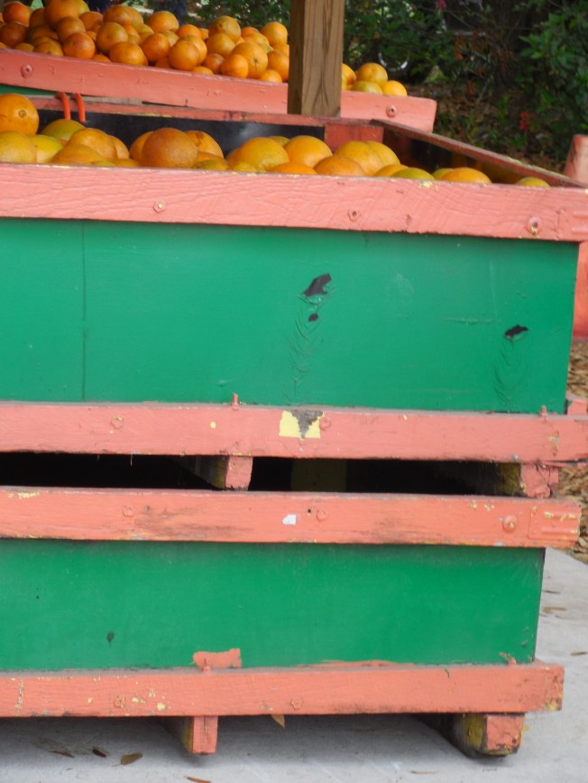 3-1-13 Class Trip 333