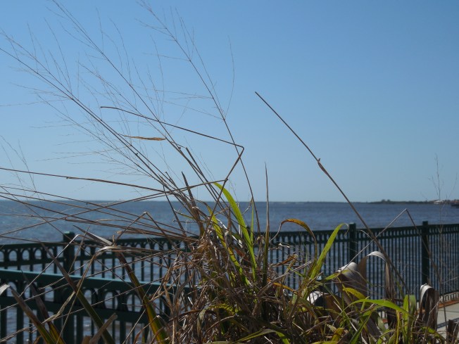 3-6-13 Portofino Park 046