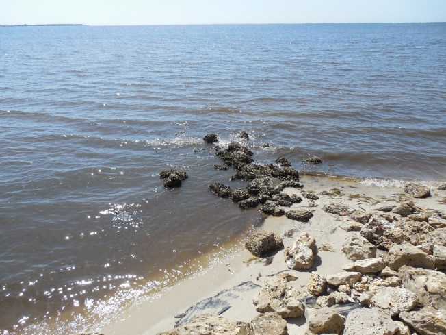 3-6-13 Portofino Park 050