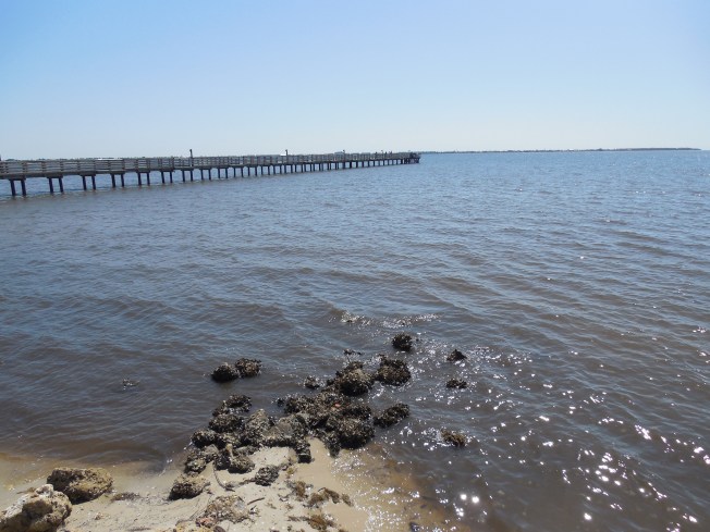 3-6-13 Portofino Park 053