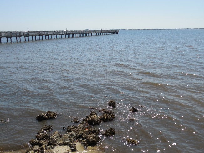 3-6-13 Portofino Park 054