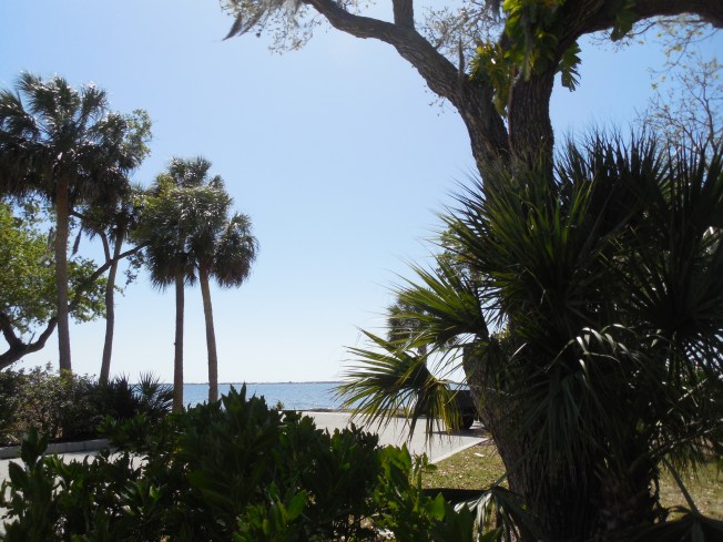 3-6-13 Portofino Park 064