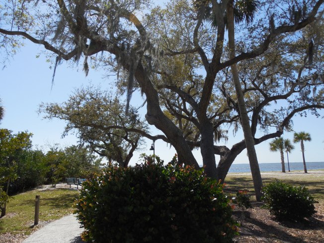 3-6-13 Portofino Park 065