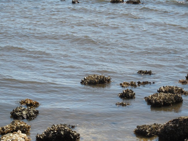 3-6-13 Portofino Park 100