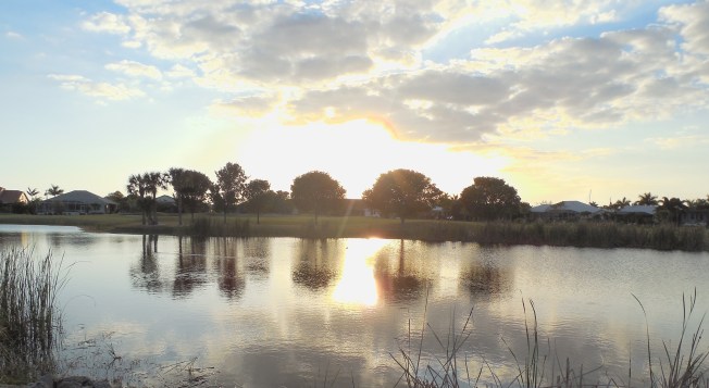 3-10-13 Walk 3-11-13 Beach 213