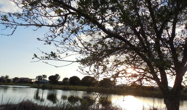 3-10-13 Walk 3-11-13 Beach 215