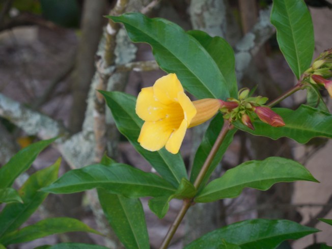 3-27 to 28-13 Walk 060