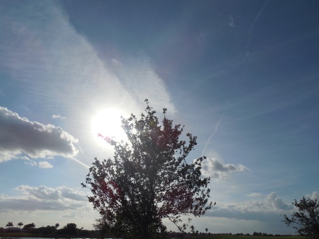 4-27-13 golf course 057