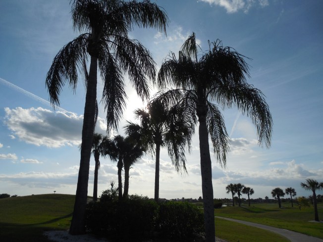 4-27-13 golf course 060