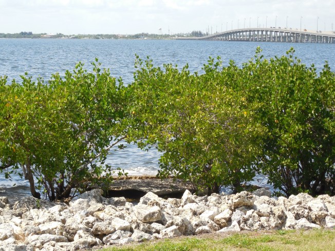 4-29-13 Gilchrist park 111