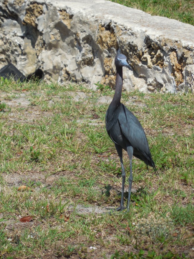 4-29-13 Gilchrist park 134