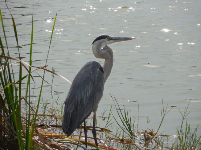 5-19-13 Walk-Golf Course 069