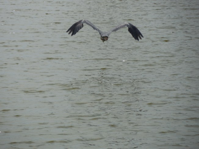 5-19-13 Walk-Golf Course 083